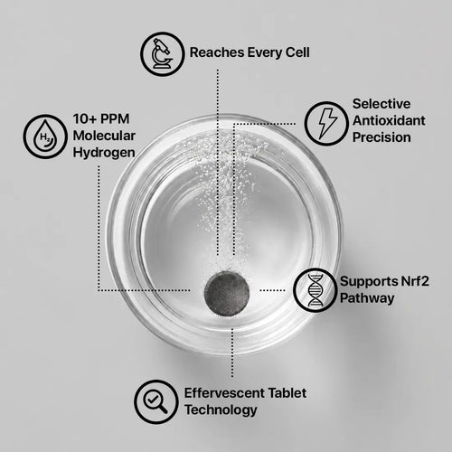 PrimeCell H2